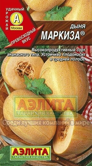 Дыня Маркиза 1г. на скидке срок годности до 12,24г от компании Садовник - все для сада и огорода - фото 1