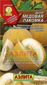 Дыня Медовая Лакомка 1г.