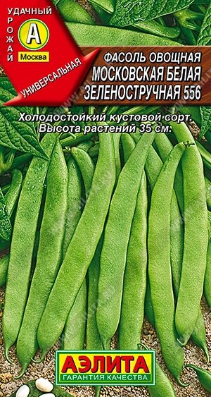 Фасоль Московская белая зеленостручковая 5гр А от компании Садовник - все для сада и огорода. Семена почтой по всей РБ - фото 1