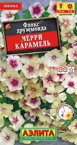 Флокс друммонда Черри карамель 20шт НОВИНКА от компании Садовник - все для сада и огорода. Семена почтой по всей РБ - фото 1