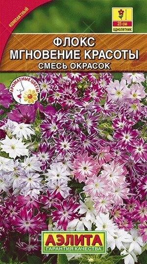 Флокс друммонда Мгновение красоты, смесь окрасок 0,1гр от компании Садовник - все для сада и огорода. Семена почтой по всей РБ - фото 1