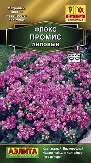 Флокс махровый Промис лиловый 10шт. (А) от компании Садовник - все для сада и огорода. Семена почтой по всей РБ - фото 1