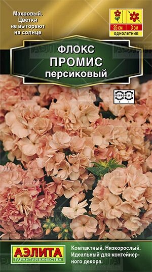 Флокс махровый Промис персиковый 10 шт от компании Садовник - все для сада и огорода - фото 1