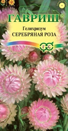 Гелихризум Серебряная Роза 0,01 гр (Г) ! НОВИНКА! от компании Садовник - все для сада и огорода. Семена почтой по всей РБ - фото 1