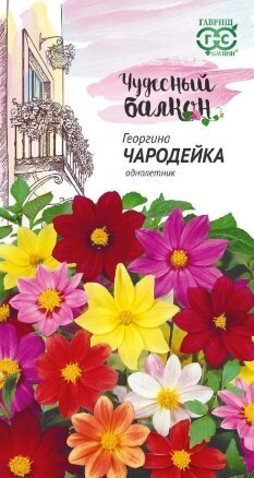 Георгина Чародейка, смесь, 0,3г от компании Садовник - все для сада и огорода - фото 1