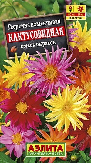 Георгина кактусовидная, смесь окрасок 0.2г (А) от компании Садовник - все для сада и огорода. Семена почтой по всей РБ - фото 1