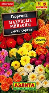 Георгина Махровые миньоны, смесь сортов 7шт.