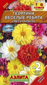 Георгина Веселые ребята, смесь окрасок x2 0.6г.