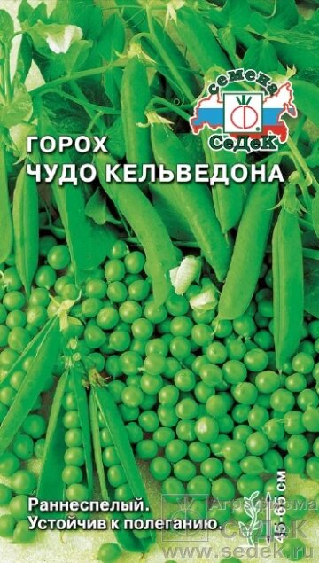 Горох Чудо Кельведона 8 г СДК от компании Садовник - все для сада и огорода - фото 1