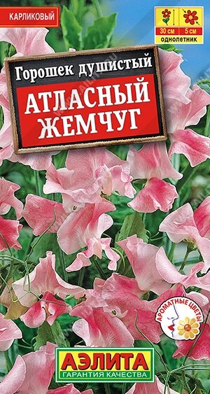 Горошек душистый Атласный жемчуг 0.5г.на скидке срок годности до 12,24г от компании Садовник - все для сада и огорода. Семена почтой по всей РБ - фото 1