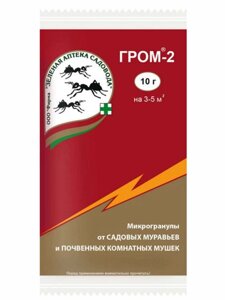 Гром-2, 10 гр