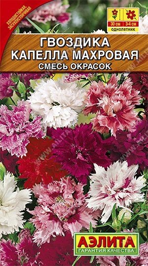 Гвоздика Капелла китайская, смесь окрасок 0.1г (А) от компании Садовник - все для сада и огорода - фото 1