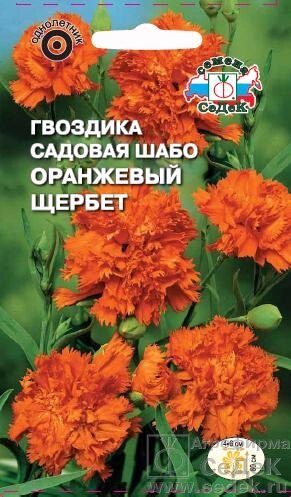 Гвоздика Оранжевый щербет (шабо) оранжевая 0,1гр СДК ! НОВИНКА! от компании Садовник - все для сада и огорода - фото 1