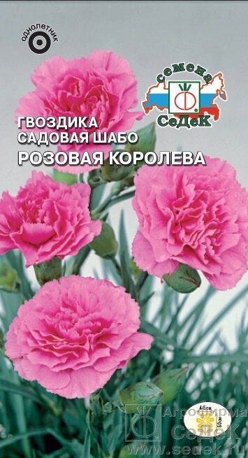 Гвоздика Розовая Королева (шабо) 0,1гр СДК ! НОВИНКА! на скидке срок годности до 02,24года от компании Садовник - все для сада и огорода - фото 1