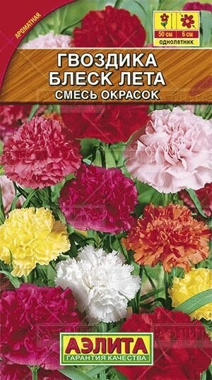 Гвоздика садовая Блеск Лета , смесь окрасок 0,05г от компании Садовник - все для сада и огорода. Семена почтой по всей РБ - фото 1