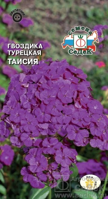 Гвоздика Таисия фиолетово-пурпурная 0,3гр СДК ! НОВИНКА! от компании Садовник - все для сада и огорода - фото 1