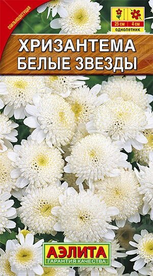 Хризантема девичья Белые Звезды 0,05 г от компании Садовник - все для сада и огорода - фото 1
