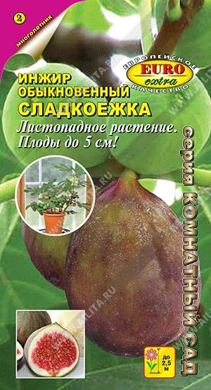 Инжир Сладкоежка обыкновенный 0.01г. от компании Садовник - все для сада и огорода. Семена почтой по всей РБ - фото 1