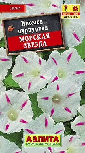 Ипомея Морская звезда 0.5г.на скидке срок годности до 12,24г от компании Садовник - все для сада и огорода - фото 1