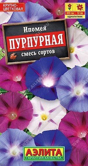 Ипомея Пурпурная, смесь окрасок 0,5гр от компании Садовник - все для сада и огорода - фото 1