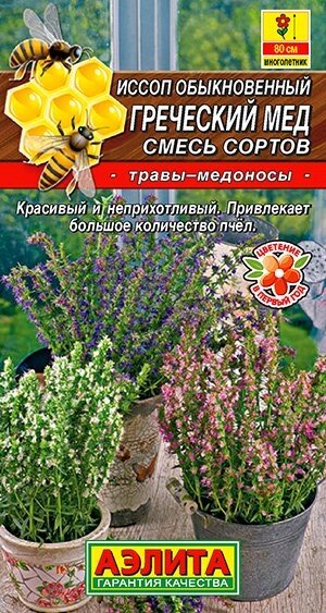 Иссоп Греческий мед, смесь сортов 0,1гр от компании Садовник - все для сада и огорода. Семена почтой по всей РБ - фото 1