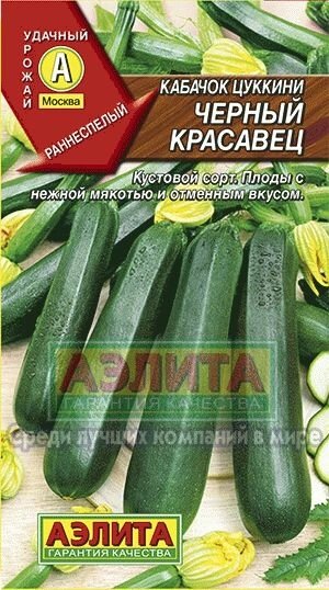 Кабачок-цукини Черный красавец (А) лид 10шт от компании Садовник - все для сада и огорода - фото 1