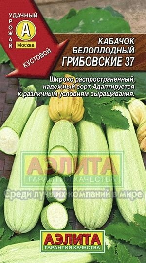 Кабачок  Грибовские 37(А) лидер 8шт А от компании Садовник - все для сада и огорода - фото 1