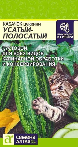 Цопе киски КАБАЧОК УСАТЫЙ ПОЛОСАТЫЙ/СЕМ АЛТ/ЦП 2 ГР. купить с доставкой почтой по  доступной цене в Беларуси - интернет-магазин Садовник - все для сада и  огорода. Семена почтой по всей РБ