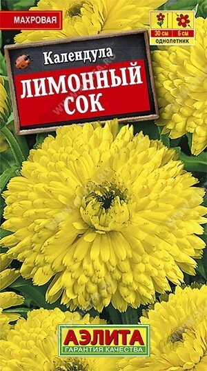 Календула Лимонный Сок 0.5г. от компании Садовник - все для сада и огорода - фото 1