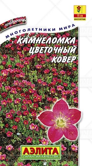 Камнеломка Цветочный ковер 0,02г от компании Садовник - все для сада и огорода - фото 1