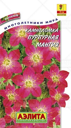 Камнеломка Пурпурная мантия 0,02г аэлита от компании Садовник - все для сада и огорода - фото 1