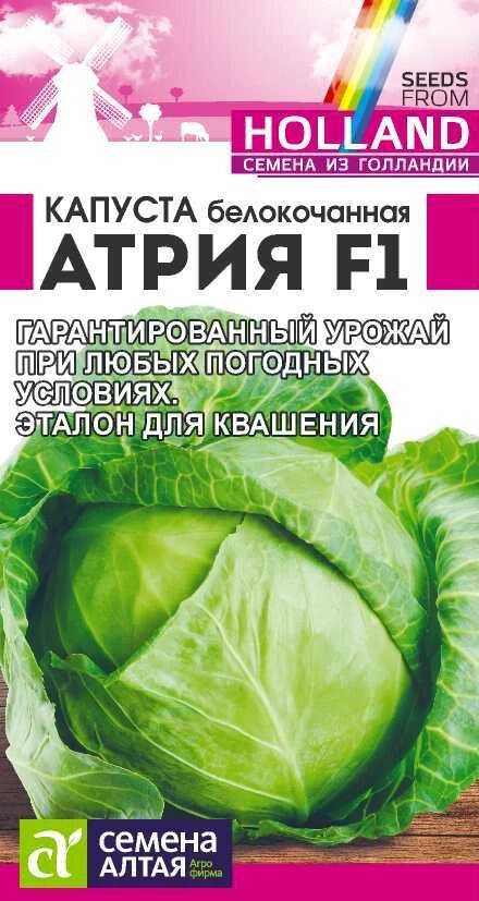 КАПУСТА АТРИЯ F1/СЕМ АЛТ/ЦП 12 ШТ. SEMINIS (ГОЛЛАНДСКИЕ СЕМЕНА) от компании Садовник - все для сада и огорода - фото 1