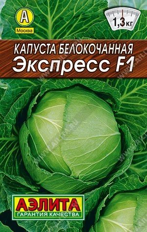 Капуста б/к Экспресс  лидер 20шт А от компании Садовник - все для сада и огорода - фото 1