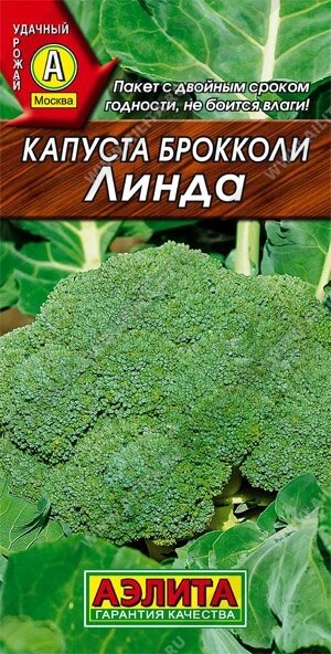 Капуста брокколи Линда 0.3г (А)на скидке срок годности до 12,24г от компании Садовник - все для сада и огорода - фото 1