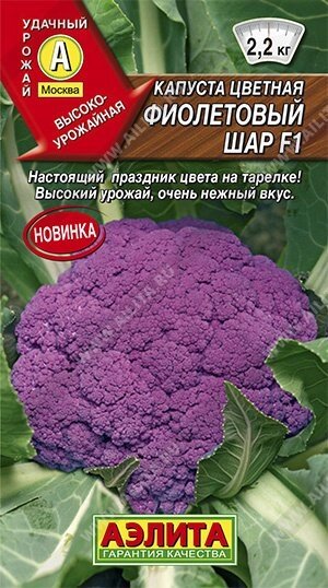 Капуста цветная Фиолетовый шар F1 10 шт от компании Садовник - все для сада и огорода - фото 1