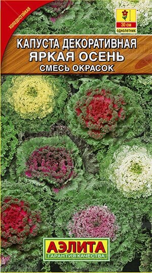 Капуста декоративная Яркая осень смесь окрасок (А) 0,1г от компании Садовник - все для сада и огорода - фото 1