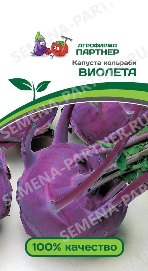 Капуста кольраби ВИОЛЕТА ^(0,5г) на скидке срок годности до 12,24г от компании Садовник - все для сада и огорода - фото 1