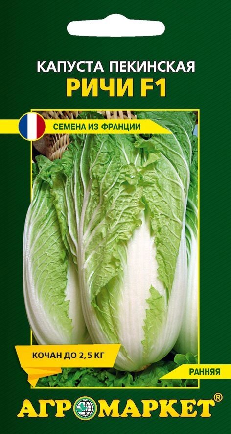 Капуста пекинская Ричи F1, 15 шт от компании Садовник - все для сада и огорода - фото 1