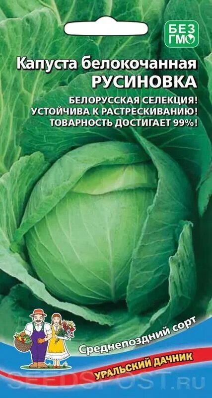 Капуста  Русиновка, 0,3 г от компании Садовник - все для сада и огорода. Семена почтой по всей РБ - фото 1