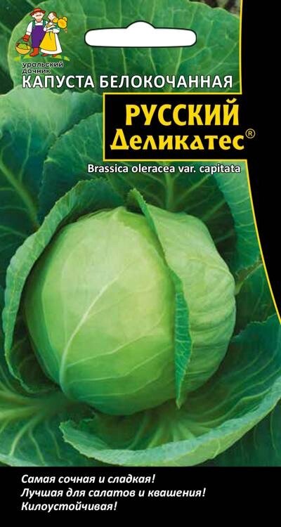 Капуста Русский Деликатес белокочанная 0,3гр (УД) от компании Садовник - все для сада и огорода - фото 1