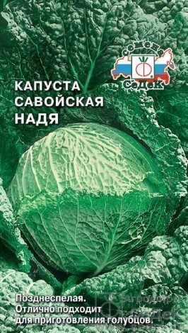 Капуста савойская Надя 1 г. от компании Садовник - все для сада и огорода - фото 1