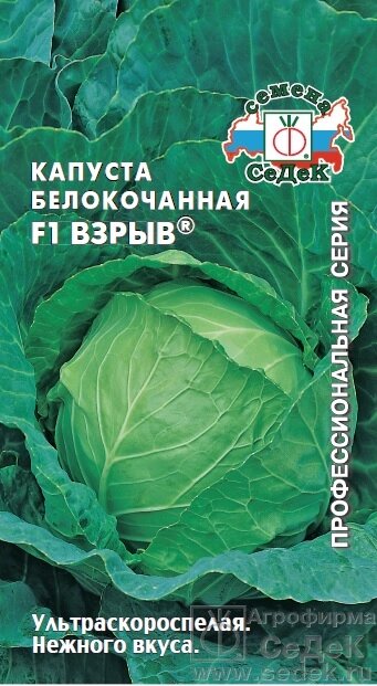 Капуста Взрыв F1 белокачанная СДК 0,1гр ! НОВИНКА ! от компании Садовник - все для сада и огорода. Семена почтой по всей РБ - фото 1