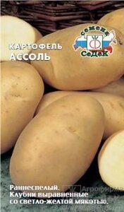 Картофель Ассоль 0,02г ( Не клубни !