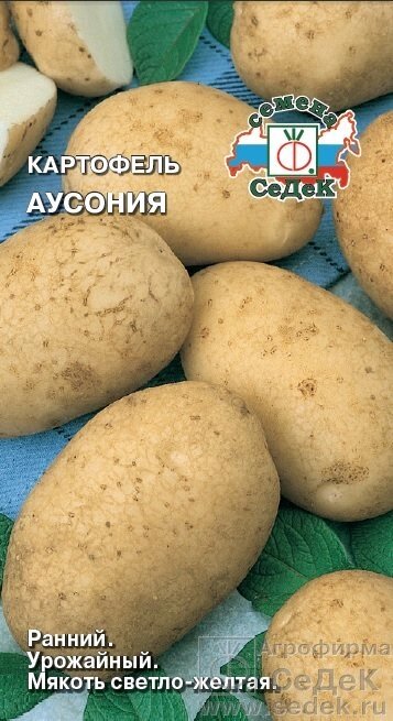 Картофель Аусония 0.02г. ( Не клубни !) от компании Садовник - все для сада и огорода - фото 1