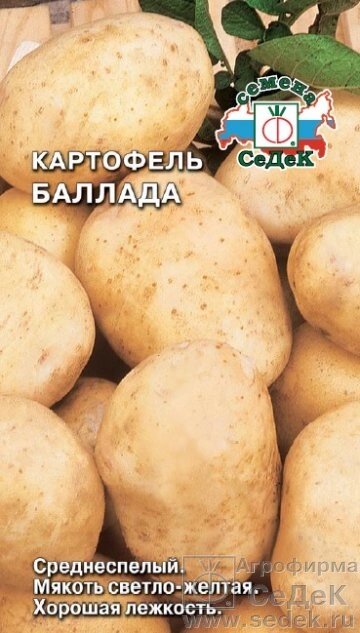 Картофель Баллада 0.02г. ( Не клубни !) от компании Садовник - все для сада и огорода - фото 1