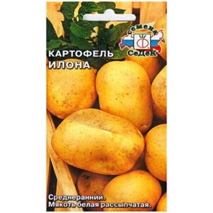Картофель Илона 0.02 гр ( Не клубни !