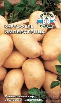 Картофель Императрица 0,02г  ( Не клубни !) от компании Садовник - все для сада и огорода - фото 1