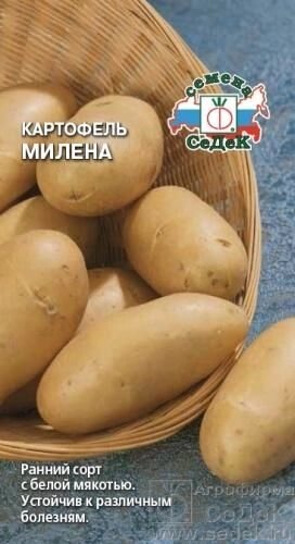 Картофель Милена 0,02г ( Не клубни !) от компании Садовник - все для сада и огорода - фото 1