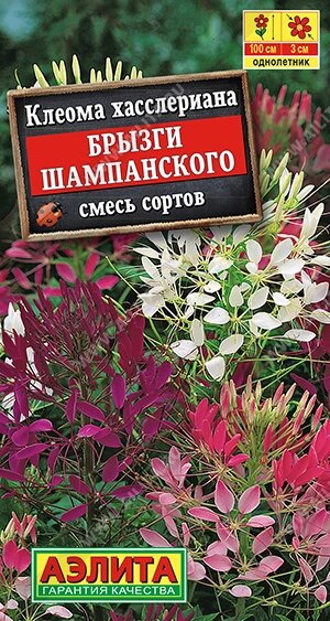 Клеома Брызги шампанского смесь  сортов 0,3гр аэлита от компании Садовник - все для сада и огорода. Семена почтой по всей РБ - фото 1