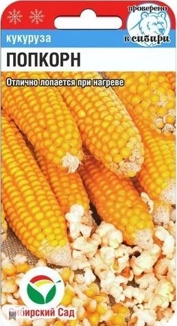 Кукуруза Попкорн 10 шт от компании "Садовник - Могилев" - фото 1